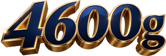 4600g